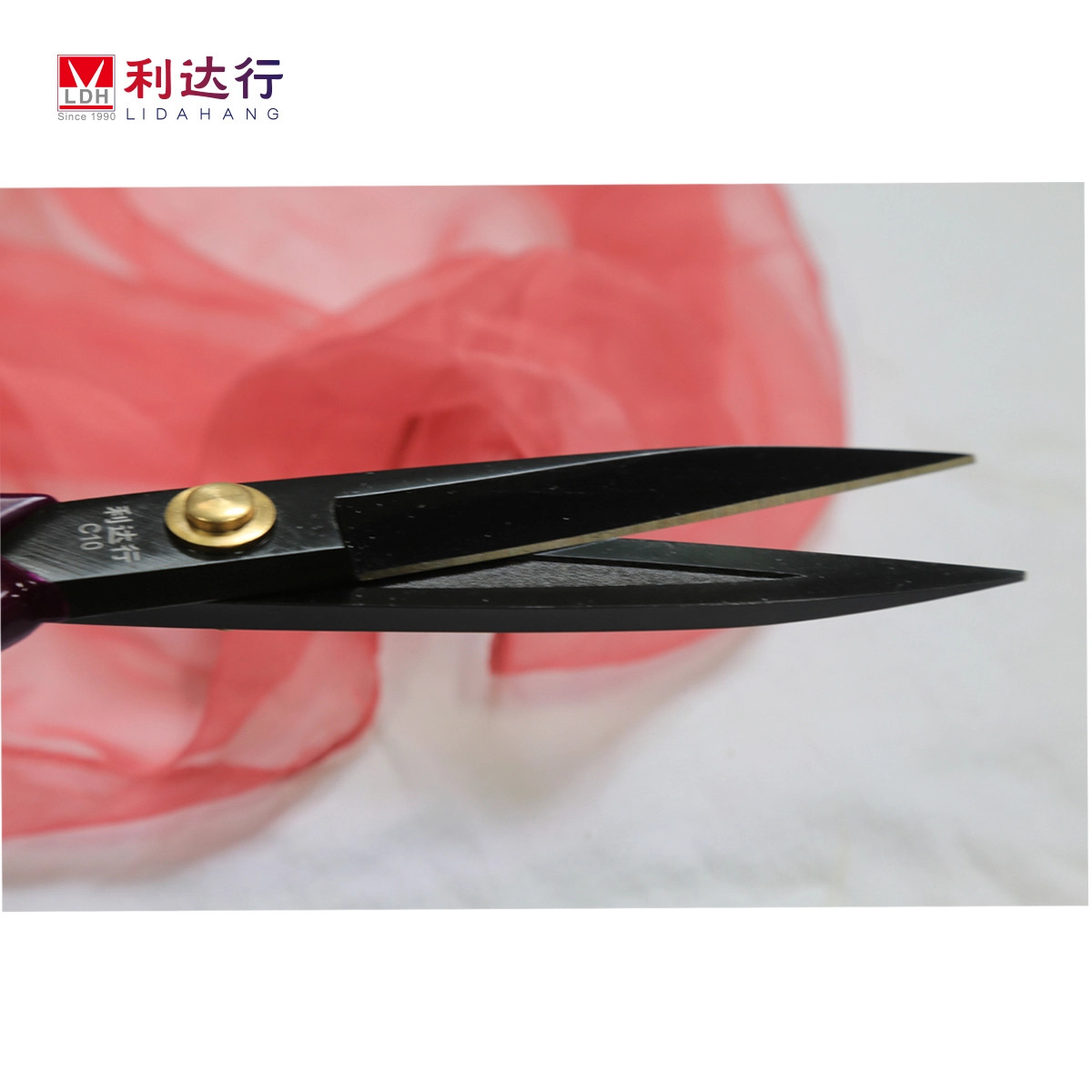 CTY TNHH SHUN FENG VINA